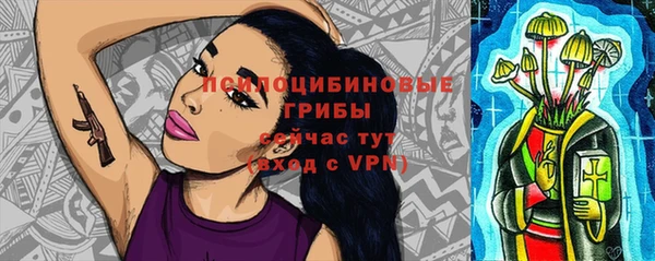 амф Бронницы