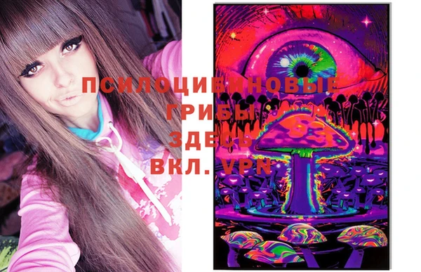 а пвп мука Бугульма