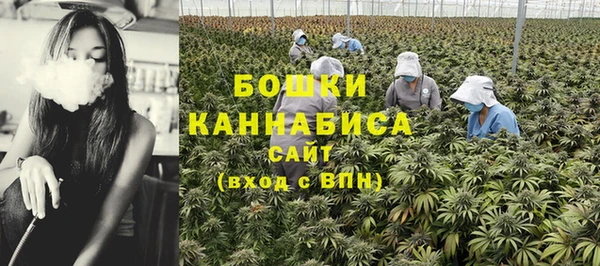 амф Бронницы