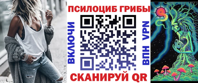 Псилоцибиновые грибы мицелий  Купить закладки  Кремёнки 